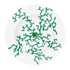 Raynaud Cristobal Emeraude Pasta Plate