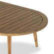 Four Hands Amaya Outdoor Oval Coffee Table DSC