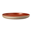 Rosenthal Joyn Stonweare - Salad/Gourmet Plate