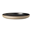 Rosenthal Joyn Stonweare - Salad/Gourmet Plate