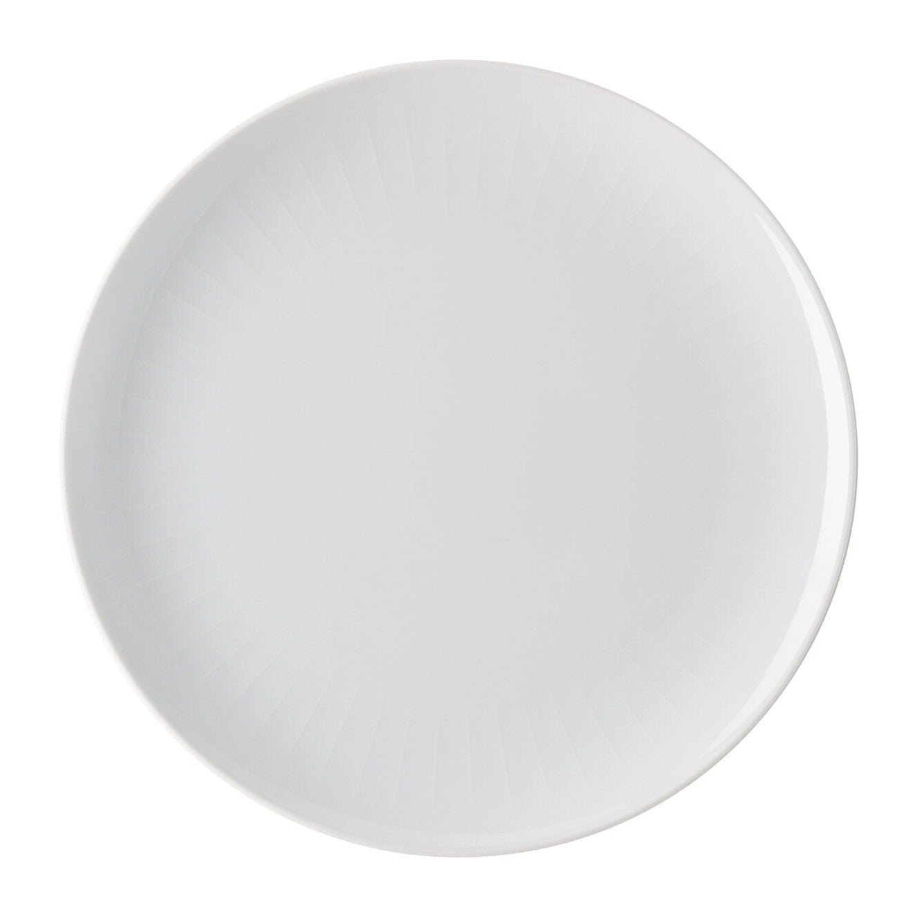 Rosenthal Joyn Dinner Plate