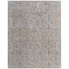 Feizy Pasha 39M6F Transitional Distressed in Taupe/Ivory/Blue