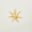 Global Views Stellar Wall Star Gold