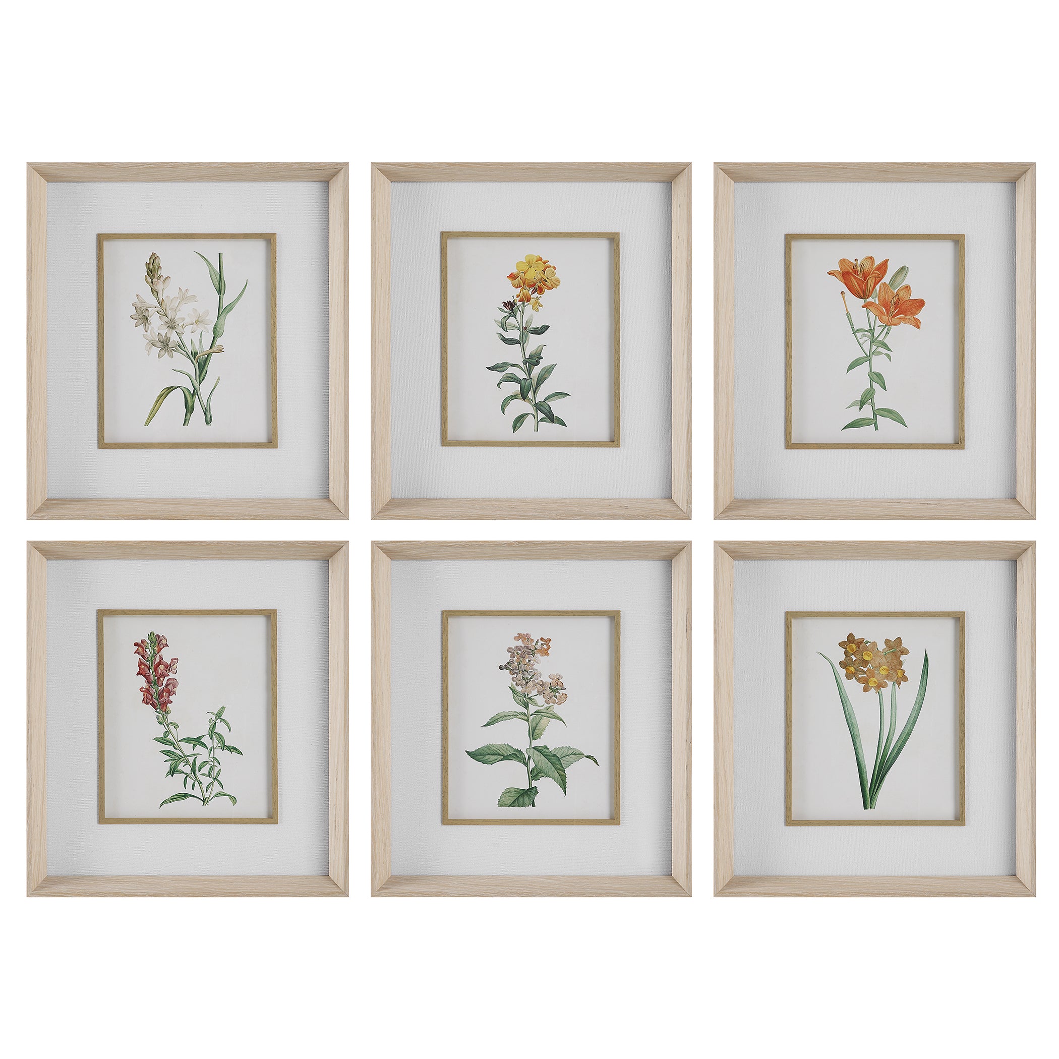 Uttermost Classic Botanicals Framed Prints - Set of 6