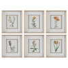 Uttermost Classic Botanicals Framed Prints - Set of 6