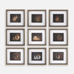 Uttermost Resting Bunny Framed Prints - Set of 9