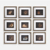 Uttermost Resting Bunny Framed Prints - Set of 9