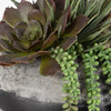 Uttermost Gobi Succulent Centerpiece