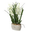 Uttermost Aria Orchid Planter