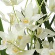 Uttermost Aria Orchid Planter