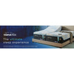 Tempur-Pedic Ergo Pro-Smart Base - Most Advanced