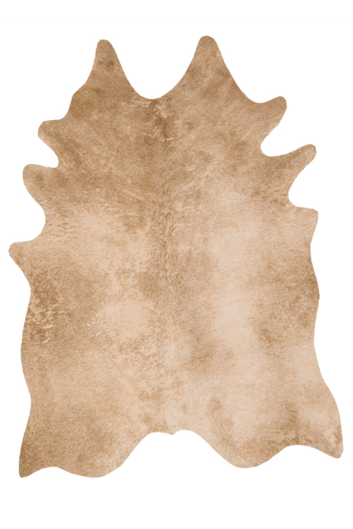 Loloi II Grand Canyon GC-09 Tan Rug