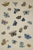 Rifle Paper Highgrove HIG-01 Rug Cream