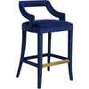 TOV Furniture Tiffany Velvet Counter Stool