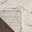 Nourison Dreamy Shag DRS03 Shag Indoor Rug