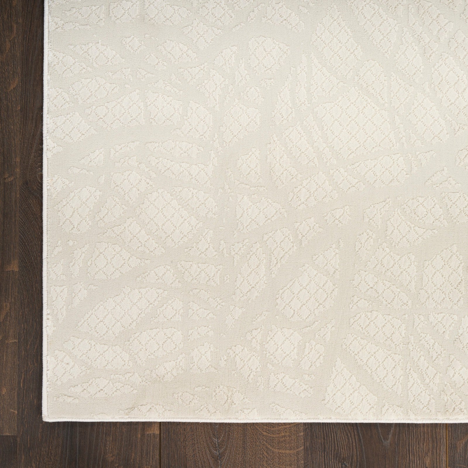 Nourison Desire DSR09 Modern Indoor Rug
