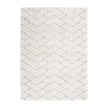 Nourison Dreamy Shag DRS03 Shag Indoor Rug