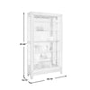 Pulaski Furniture PFC Curios Antique Style 5 Shelf Mirrored Curio Cabinet