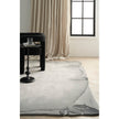 Nourison Limted Edition LIM01 Modern Indoor Rug