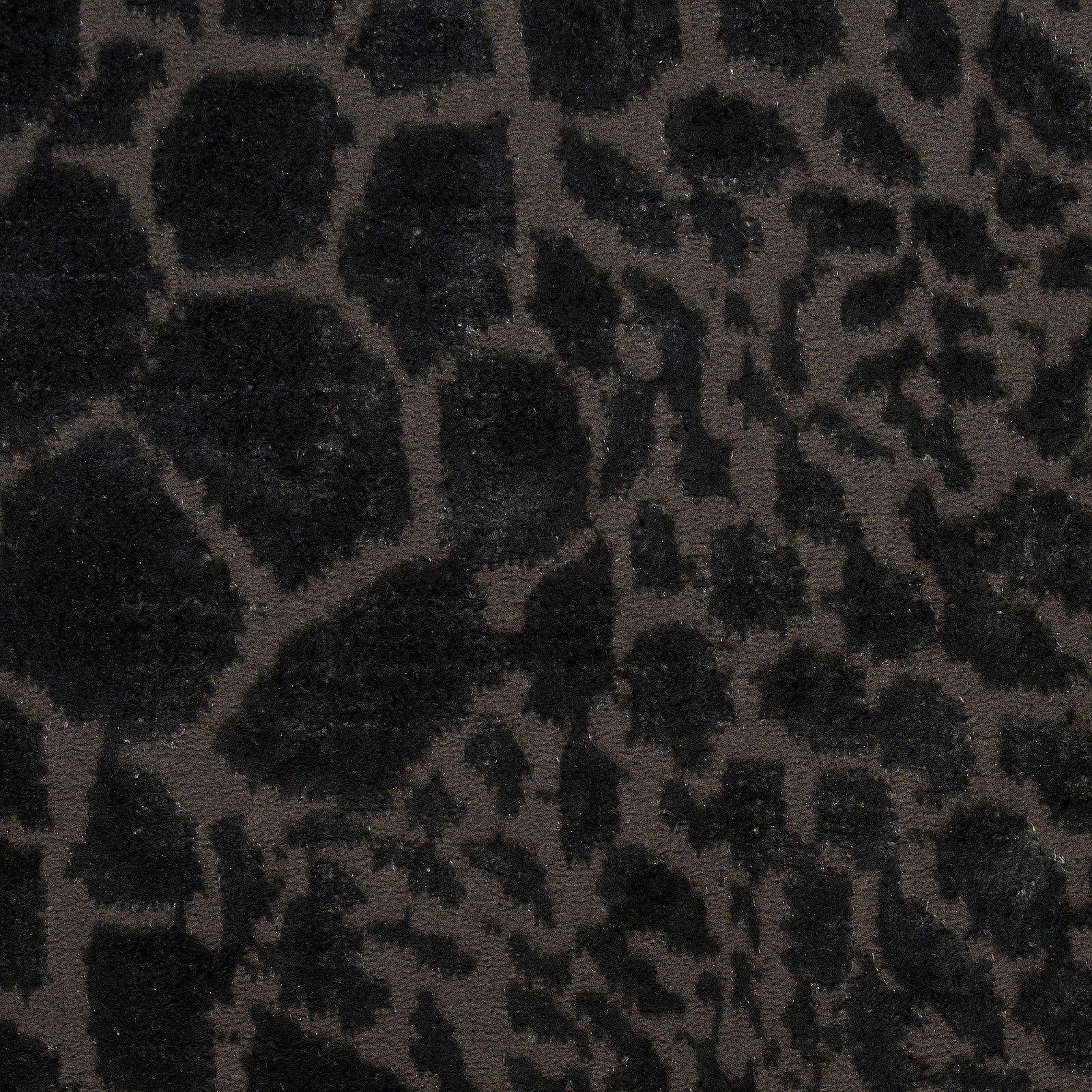 Nourison Desire DSR08 Modern Indoor Rug