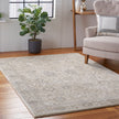Nourison Moroccan Celebration KI384 Vintage Indoor Rug