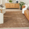 Nourison Luxurious LRS02 Vintage Indoor Rug