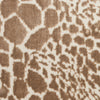 Nourison Desire DSR08 Modern Indoor Rug