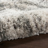 Nourison Dreamy Shag DRS01 Shag Indoor Rug