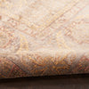 Nourison Luxurious LRS02 Vintage Indoor Rug