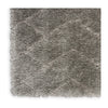 Nourison Dreamy Shag DRS03 Shag Indoor Rug