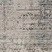 Nourison Lynx LNX06 Vintage Indoor Rug
