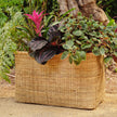 Made Goods Mosley Rectangular Planter Set of 2