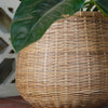 Made Goods Mosley Round Planter Set of 2