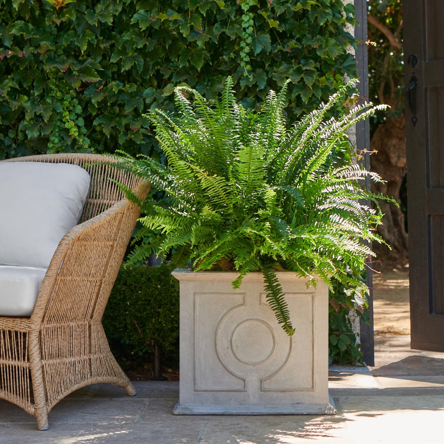 Made Goods Odera Box Planter