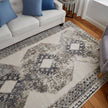 Feizy Kano 39LJF Transitional Distressed Rug in Ivory/Taupe/Gray