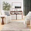 Nourison Avra AVR01 Modern Indoor Rug