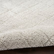 Nourison Andes AND04 Scandinavian Indoor Rug