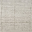 Nourison Andes AND04 Scandinavian Indoor Rug