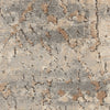 Nourison Quarry QUA03 Modern Indoor Rug