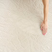 Nourison Desire DSR09 Modern Indoor Rug
