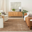 Nourison Luxurious LRS02 Vintage Indoor Rug