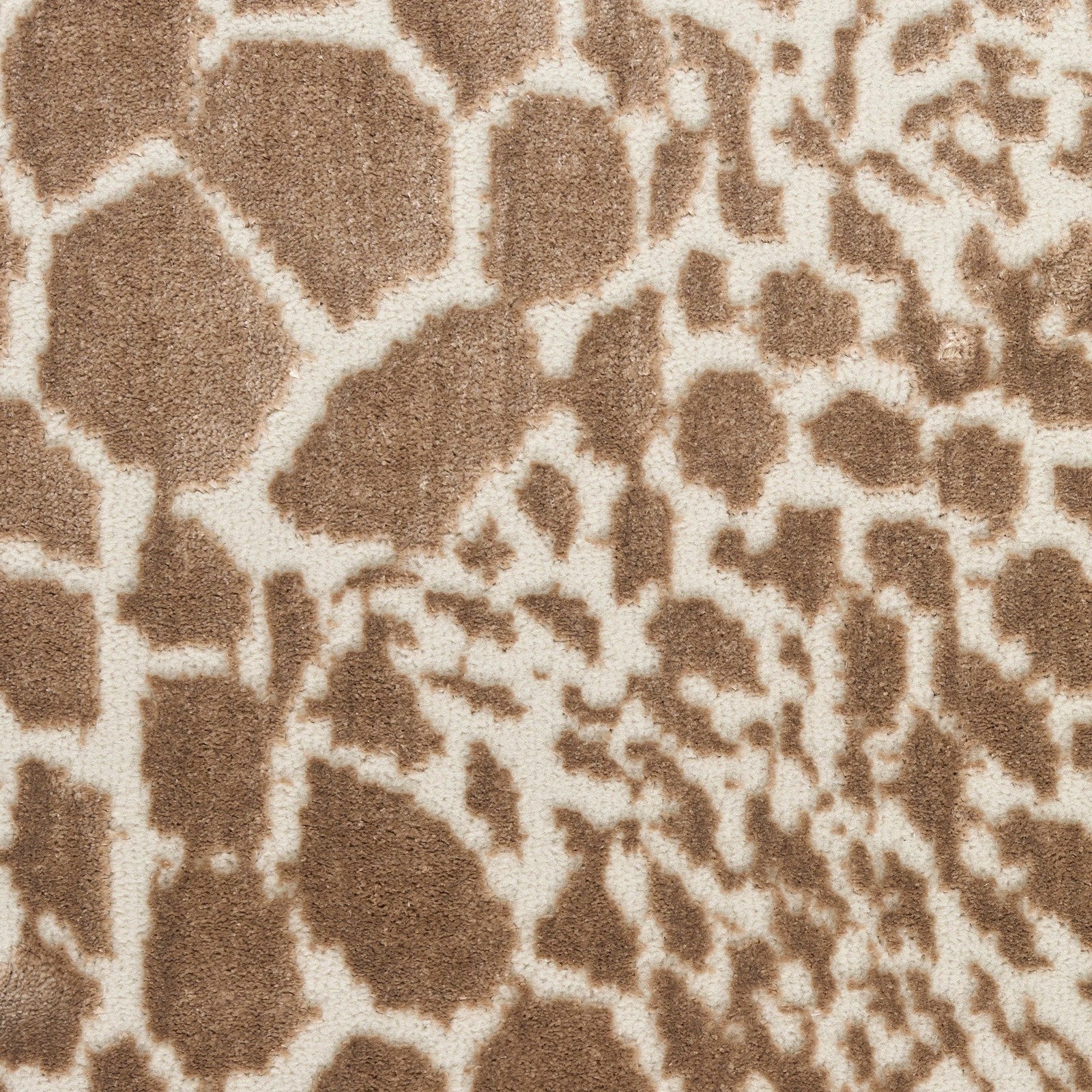 Nourison Desire DSR08 Modern Indoor Rug