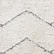 Nourison Dreamy Shag DRS03 Shag Indoor Rug