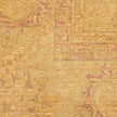 Nourison Luxurious LRS02 Vintage Indoor Rug