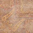 Nourison Luxurious LRS02 Vintage Indoor Rug