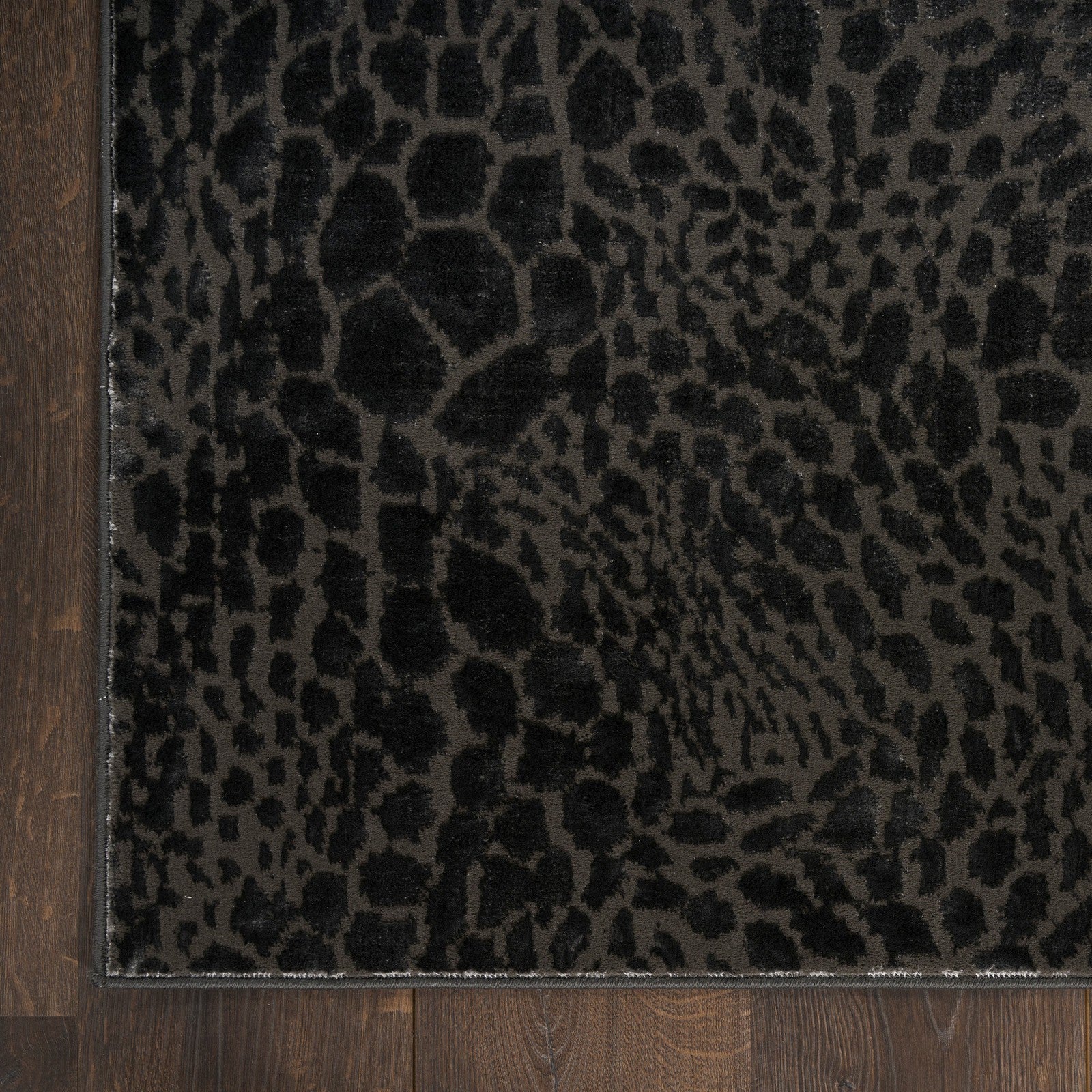 Nourison Desire DSR08 Modern Indoor Rug