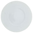 Raynaud Mineral Buffet Plate