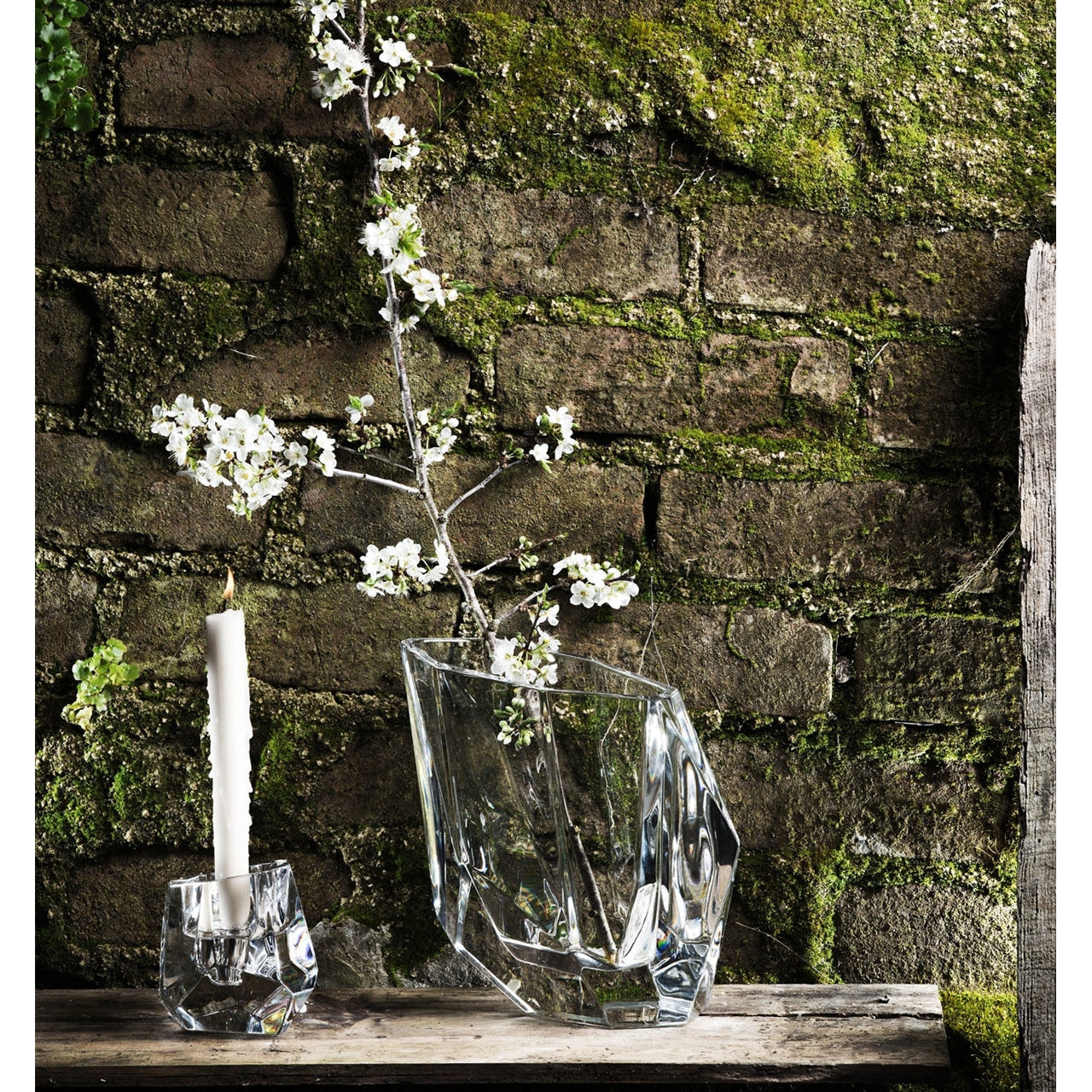 Vista Alegre Exotica Case with Vase