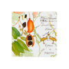 Vista Alegre Amazonia Coasters - Set of 4