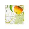 Vista Alegre Amazonia Coasters - Set of 4